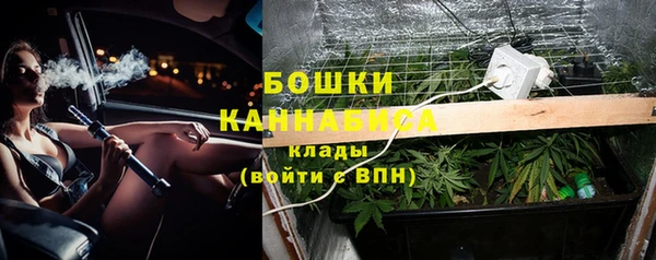стаф Абинск